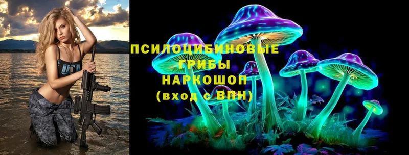 Галлюциногенные грибы Psilocybine cubensis  Володарск 